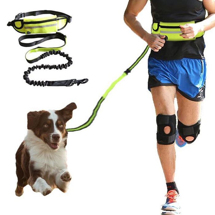 Laisse mains libres pour chien